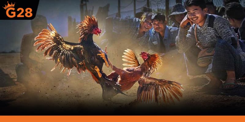 Một số thuật ngữ kèo người mới cần biết