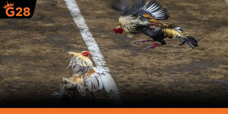 Tránh tăng đột ngột chỉ cần một pha trượt chân là trận có thể đảo